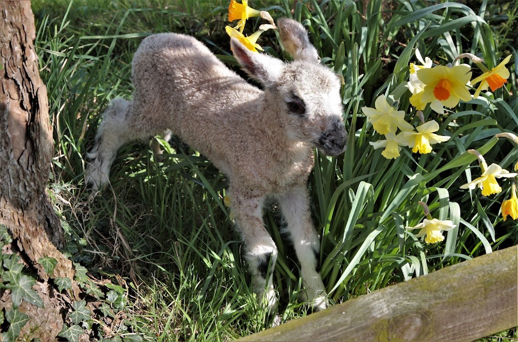 Read more about the article 