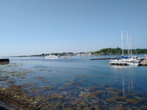 Read more about the article 