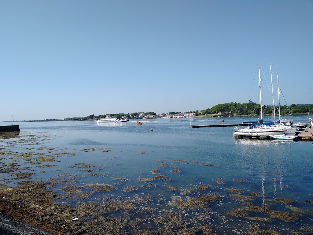 Read more about the article 